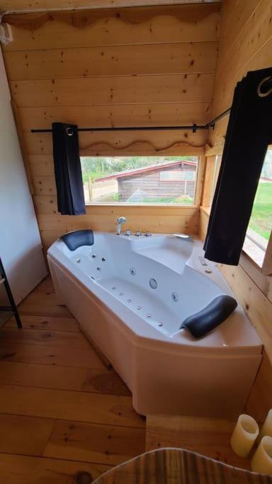 Chalet Tiny House Petite Balneo Cheminee Exterieure Lisle-sur-Tarn